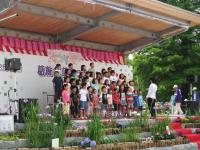 20090613173605c971