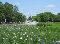 20090615101657bd71