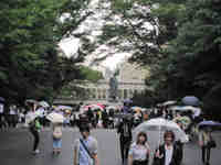 20090616191302f761