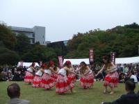 2008_1026h2010270005_convert_200810