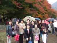 2008_1116h2011080014_convert_200811