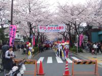 200904060935008d81